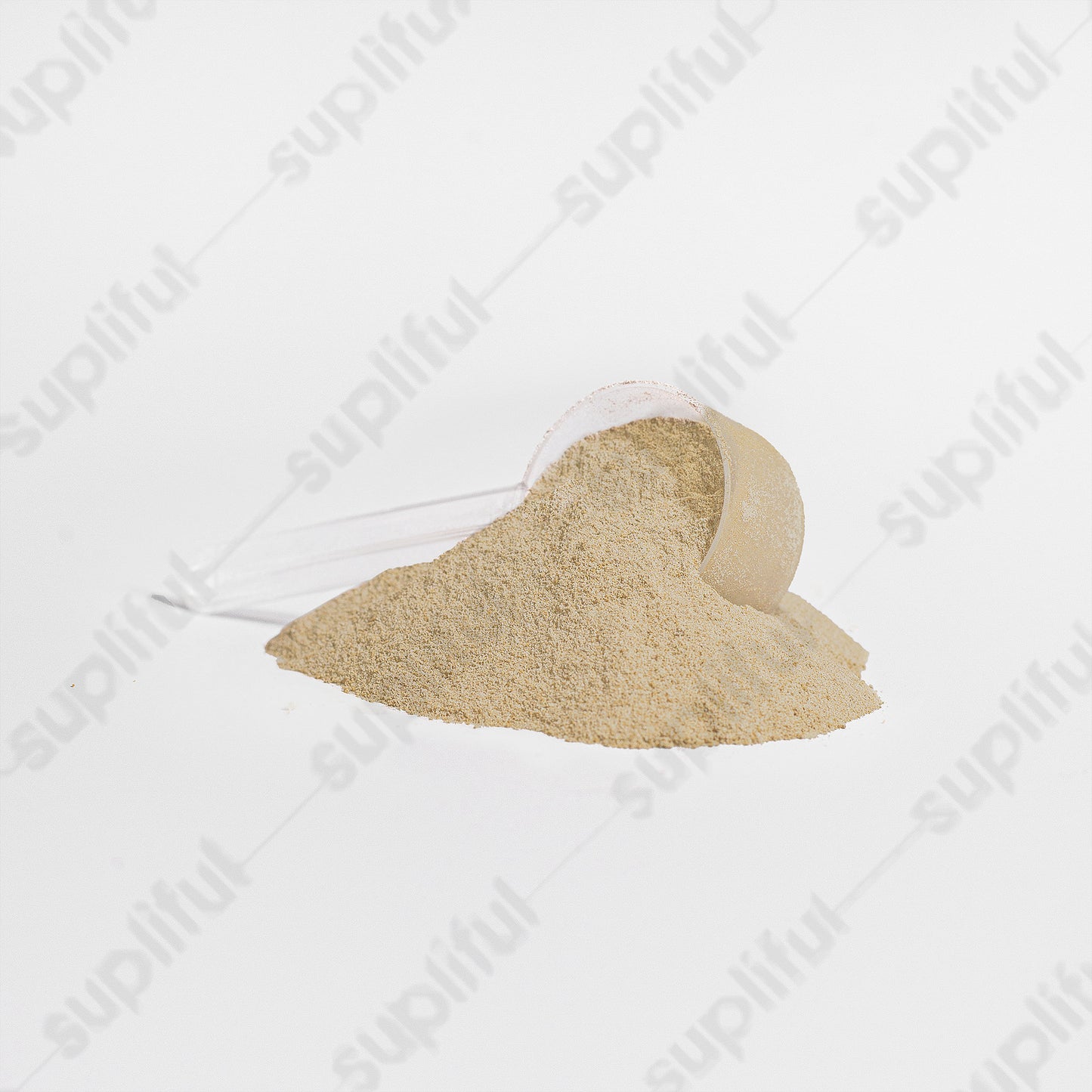 Warriors Whey Protein Isolate (Vanilla)