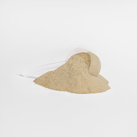 Warriors Whey Protein Isolate (Vanilla)