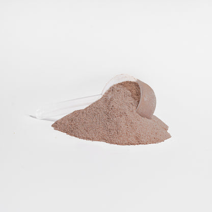 Warriors Whey Protein Isolate (Chocolate)